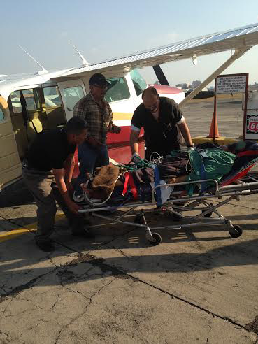 7892e82c-4da5-4194-8994-c15aa1e096aa